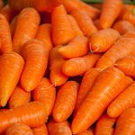 carrots-1508847__340.jpg